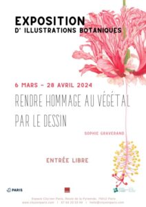 sophie graverand affiche exposition rendre hommage au végétal par le dessin