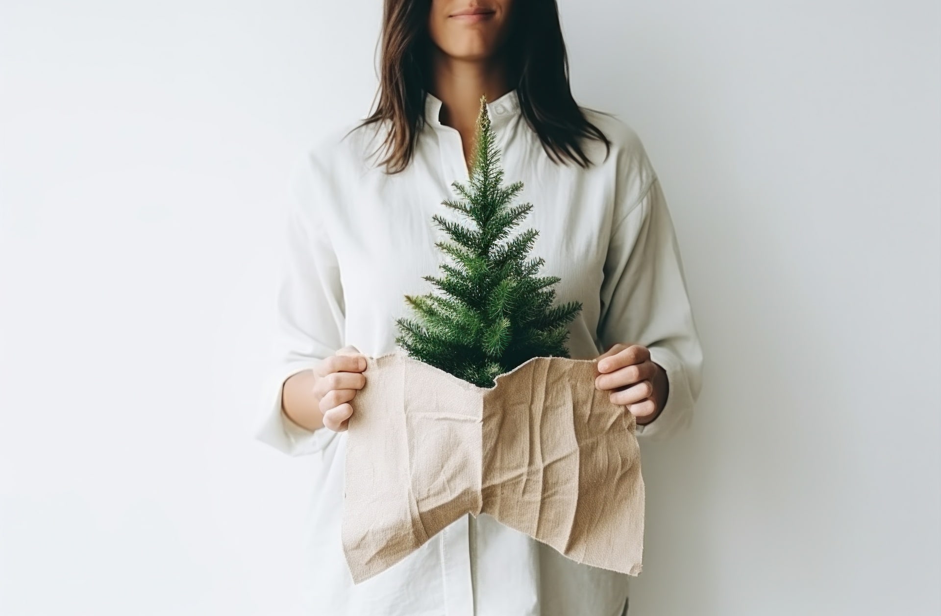 Arbre de Noël d'entreprise écoresponsable