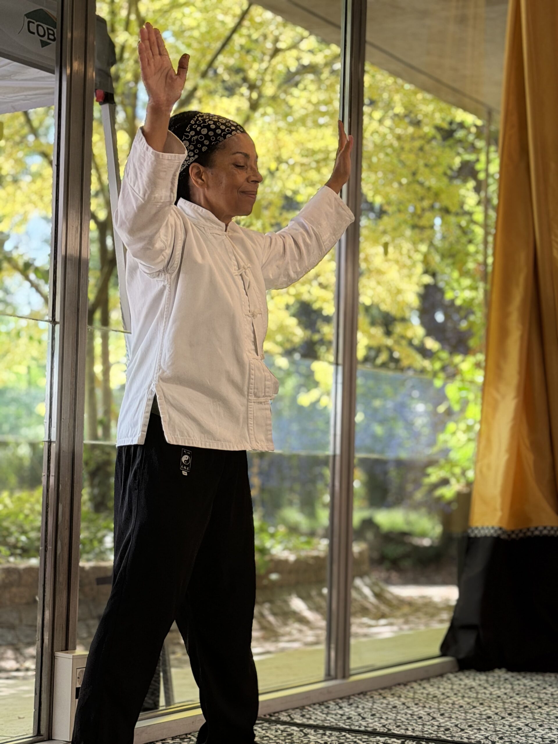 cityzen paris cours yoga mediation pilates kung fu qi gong sophrologie parc floral de paris 15