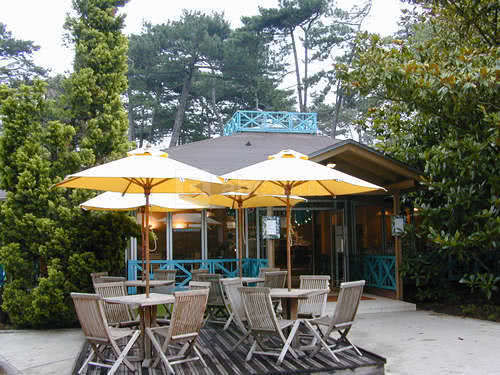 Restaurant Les Magnolias restauration Parc Floral de Paris