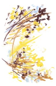 Exposition Pascaline Mitaranga Parc Floral de Paris