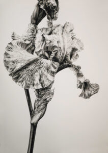 Exposition Yukiko Delcambre Parc Floral de Paris