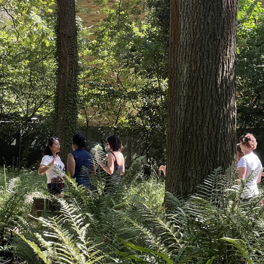 marche méditative paris zen festival