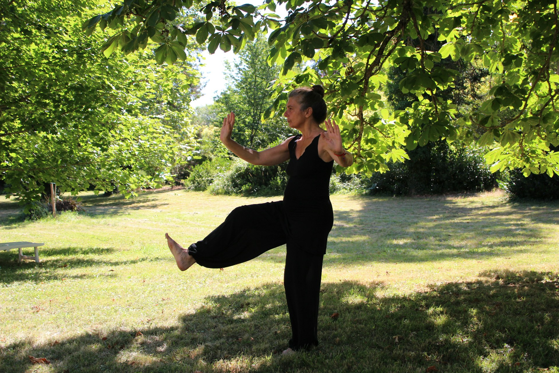 Tai-Chi dans la nature Photo de Monica Leonardi sur Unsplash